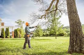 Best Arborist Consultation Services  in Palestine, IL
