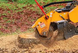 Best Tree Trimming and Pruning  in Palestine, IL